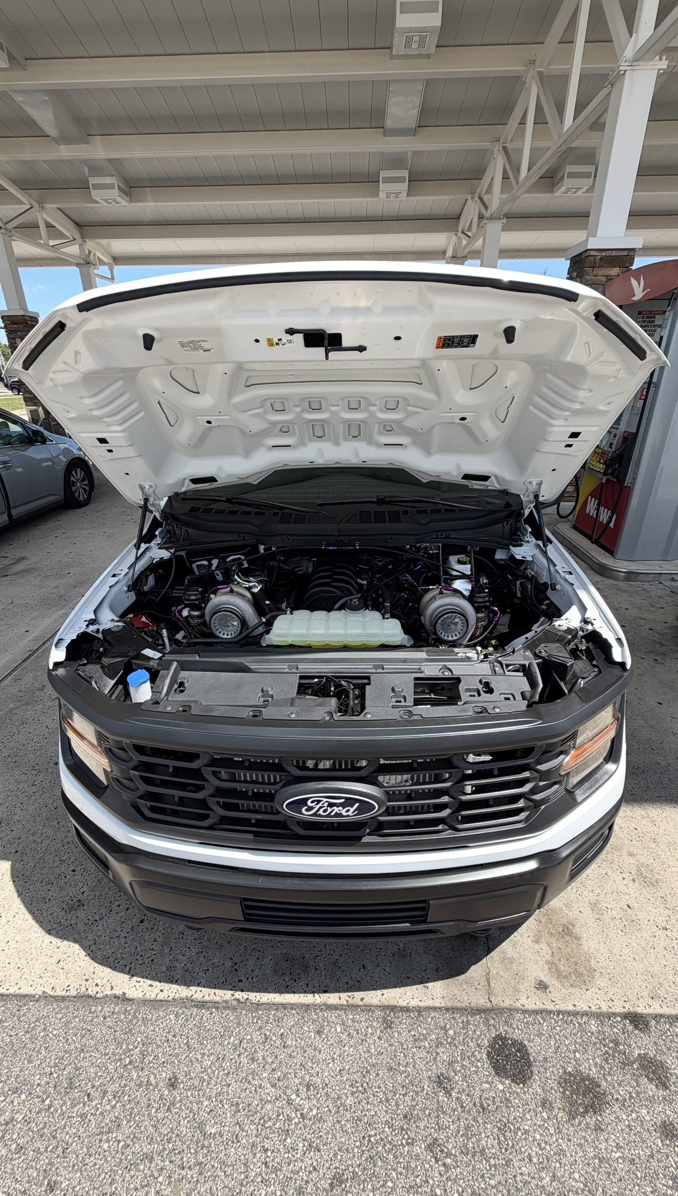 Engine bay of a white Ford F-150 fitted with twin turbochargers and purple anodized fittings and lines
